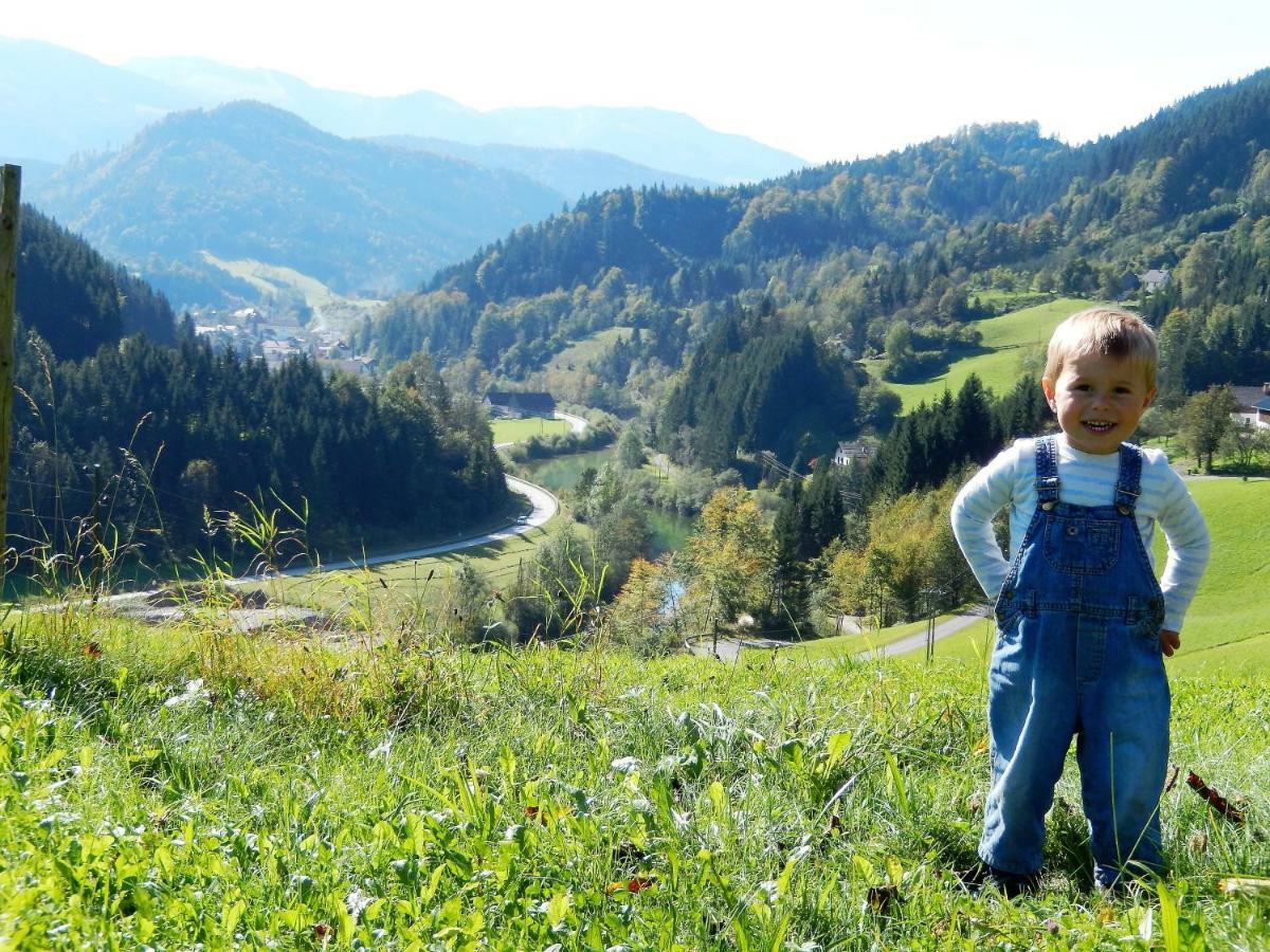 Biobauernhof Poidlbauer Villa Göstling an der Ybbs Buitenkant foto